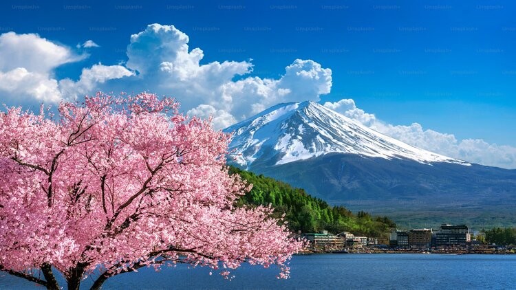 JLPT N5 (Minna no Nihongo lesson 1 to 4)