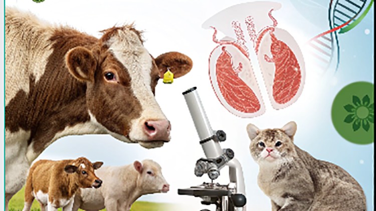 Animal Reproduction: Anatomy, Physiology, and Biotechnology