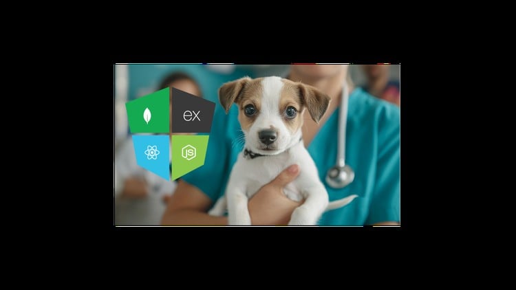 Sistema para Clínica Veterinária com React e Nodejs