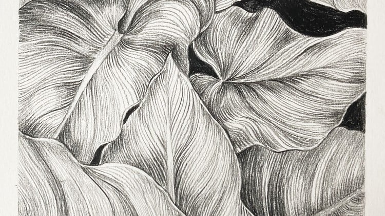 Foundations of Drawing:  The Complete Beginner's Course 1