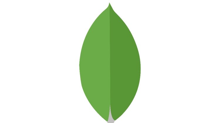 MongoDb Introduction course.