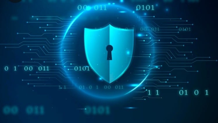 Updated CISSP : 8 Practice Exams with 800 Questions