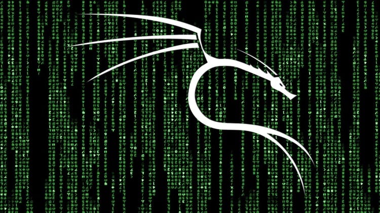 Professional Ethical Hacker with Kali Linux v2025
