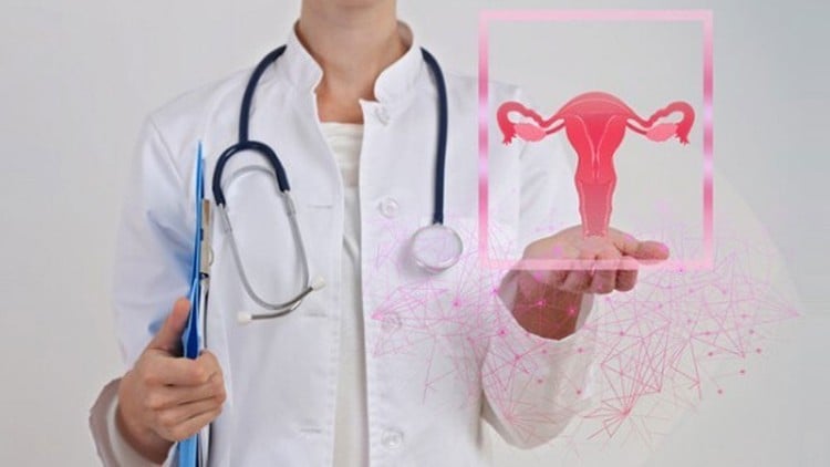 Seja professora de Pompoarismo: Módulo 3