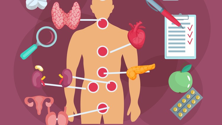 Diploma in Endocrinology