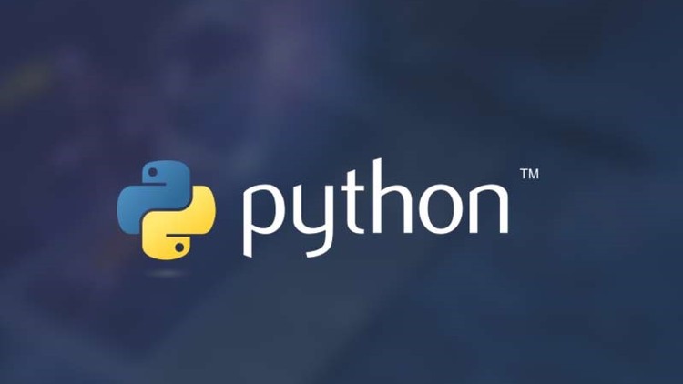 Kodların Dilini Öğren: Python Temelleri  |  2025