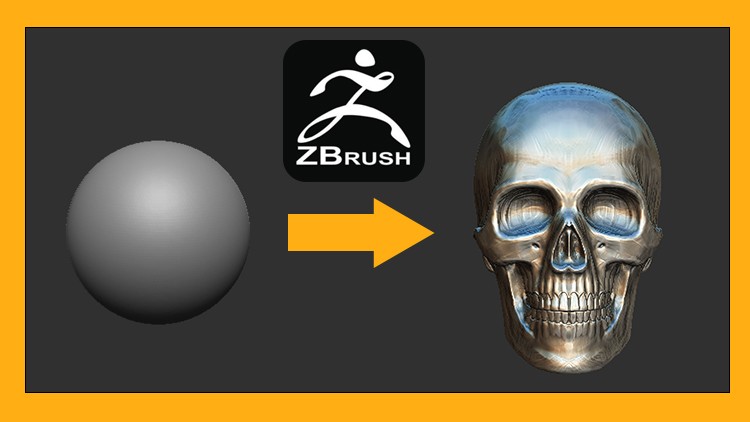 ZBrush头骨美术雕刻全攻略:从基础到写实