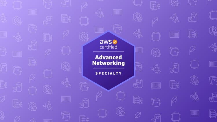 AWS Certified Advanced Networking Specialty Practice Exams