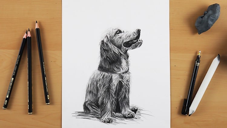 Drawing Made Clear: From Sketch to Realistic Animals