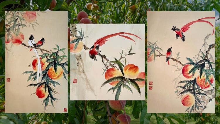 Relax With Chinese Painting - Peach & Paradise Flycatcher