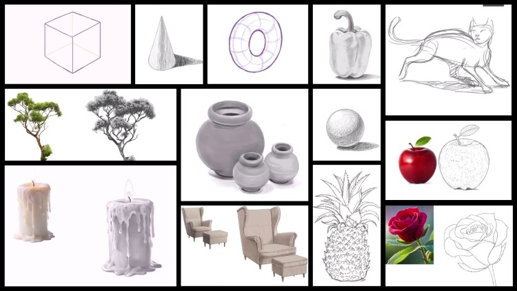 Learn to Draw - Complete Beginner’s Drawing Course