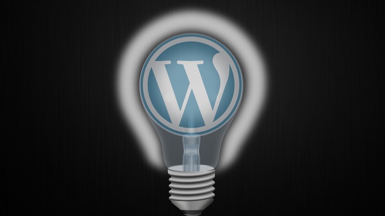 Dein erstes professionelles WordPress Plugin von A-Z