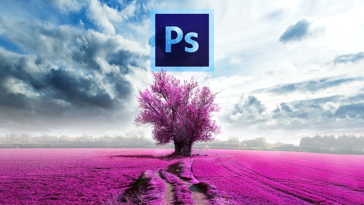 Photoshop 2015 - Grundlagen & Tipps für den Start